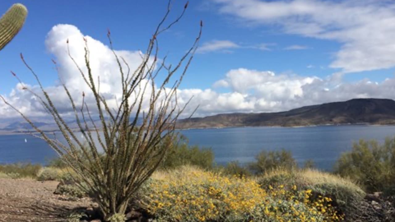 Recuperan el cuerpo de un adolescente de 18 años reportado desaparecido en Lake Pleasant 