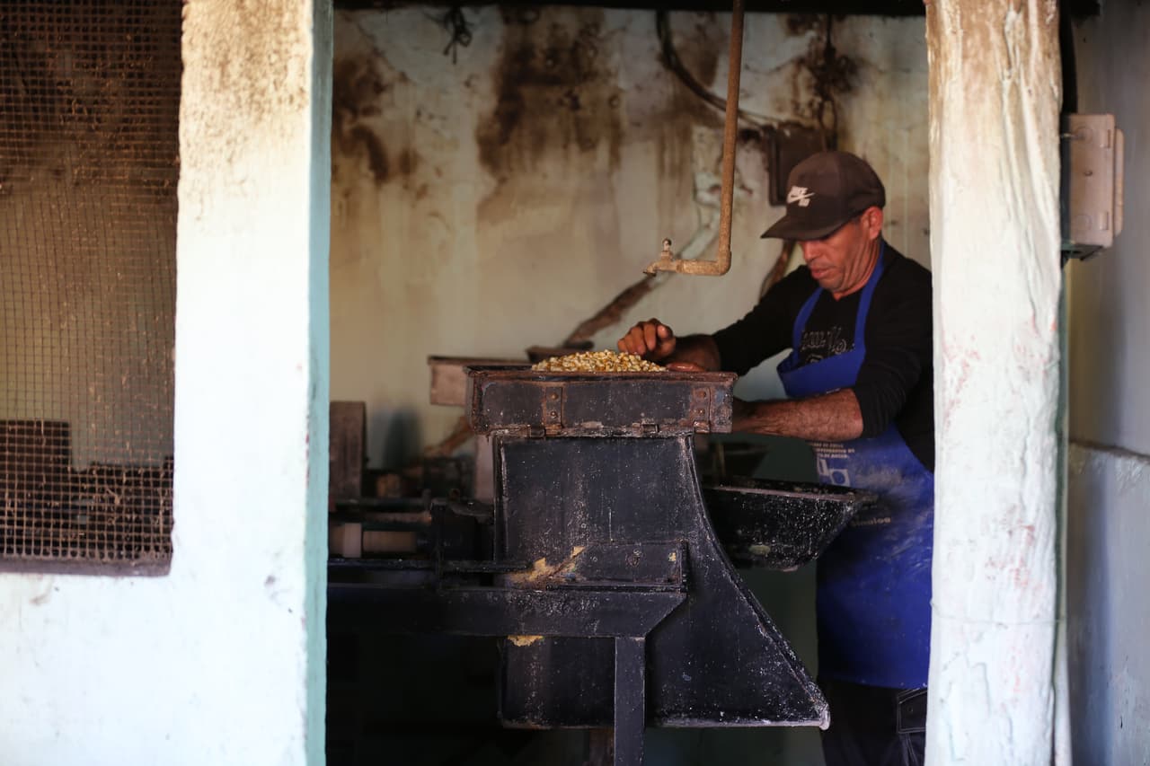 Los principales cultivos del Recodo son el maíz y el sorgo.