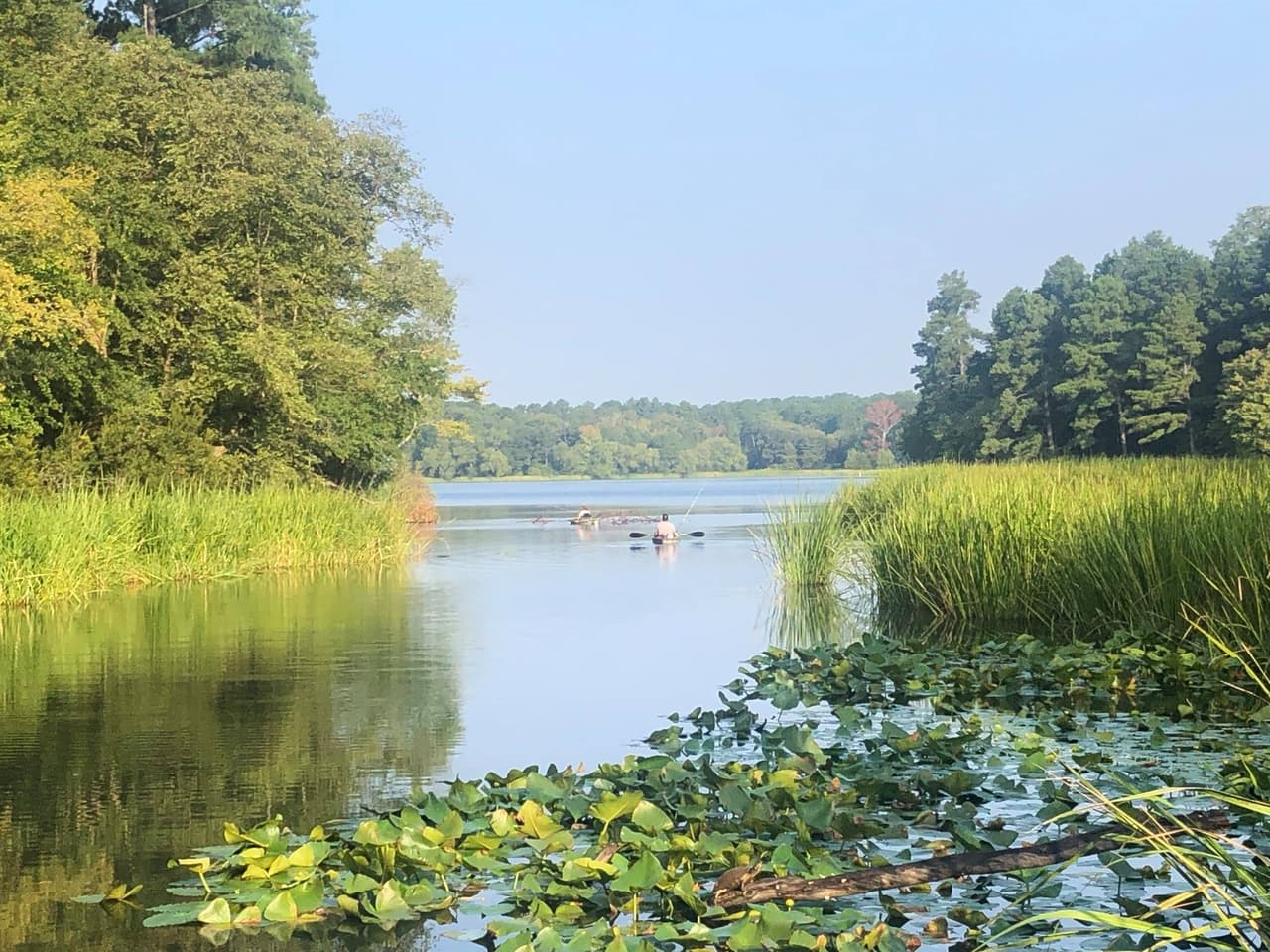 También hay lugares para pescar y practicar deportes acuáticos como kayak y canoa.