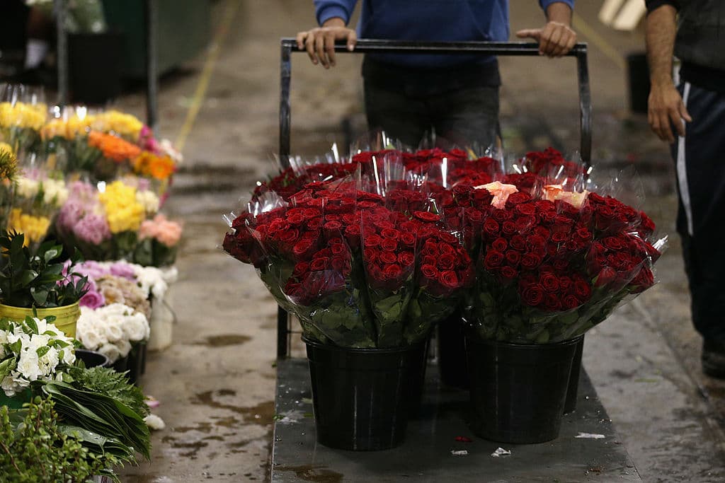 El Día Nacional de Apoyo a los Negocios Latinos busca respaldar el desarrollo de negocios de hispanos de EEUU