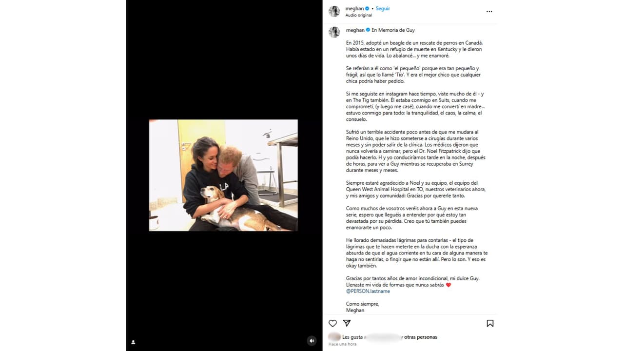 Meghan Markle de luto por la muerte de su mascota Guy.
