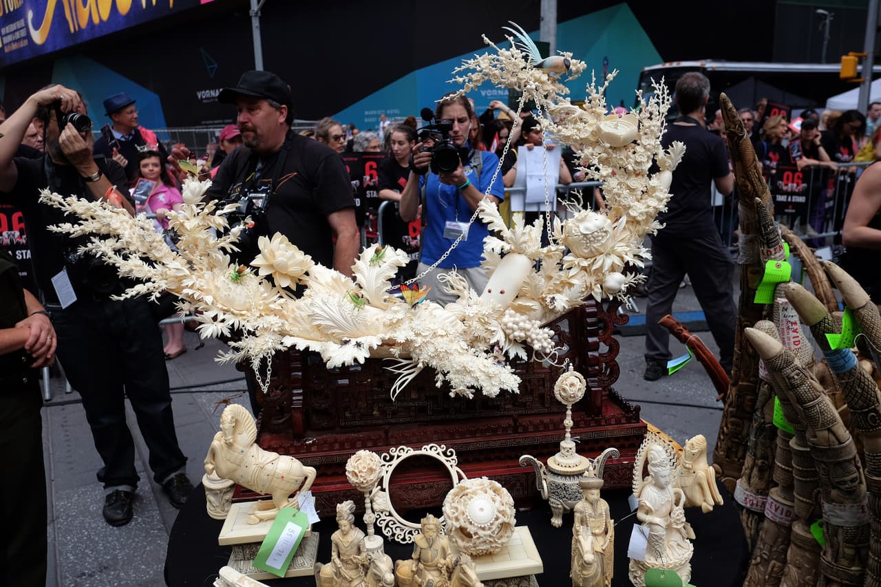La manifestación fue coordinada por un esfuerzo del Servicio de Vida Salvaje y Marina de Estados Unidos, del Departamento del Medio Ambiente y Conservación de Nueva York y la Sociedad de Conservación de Vida Salvaje.