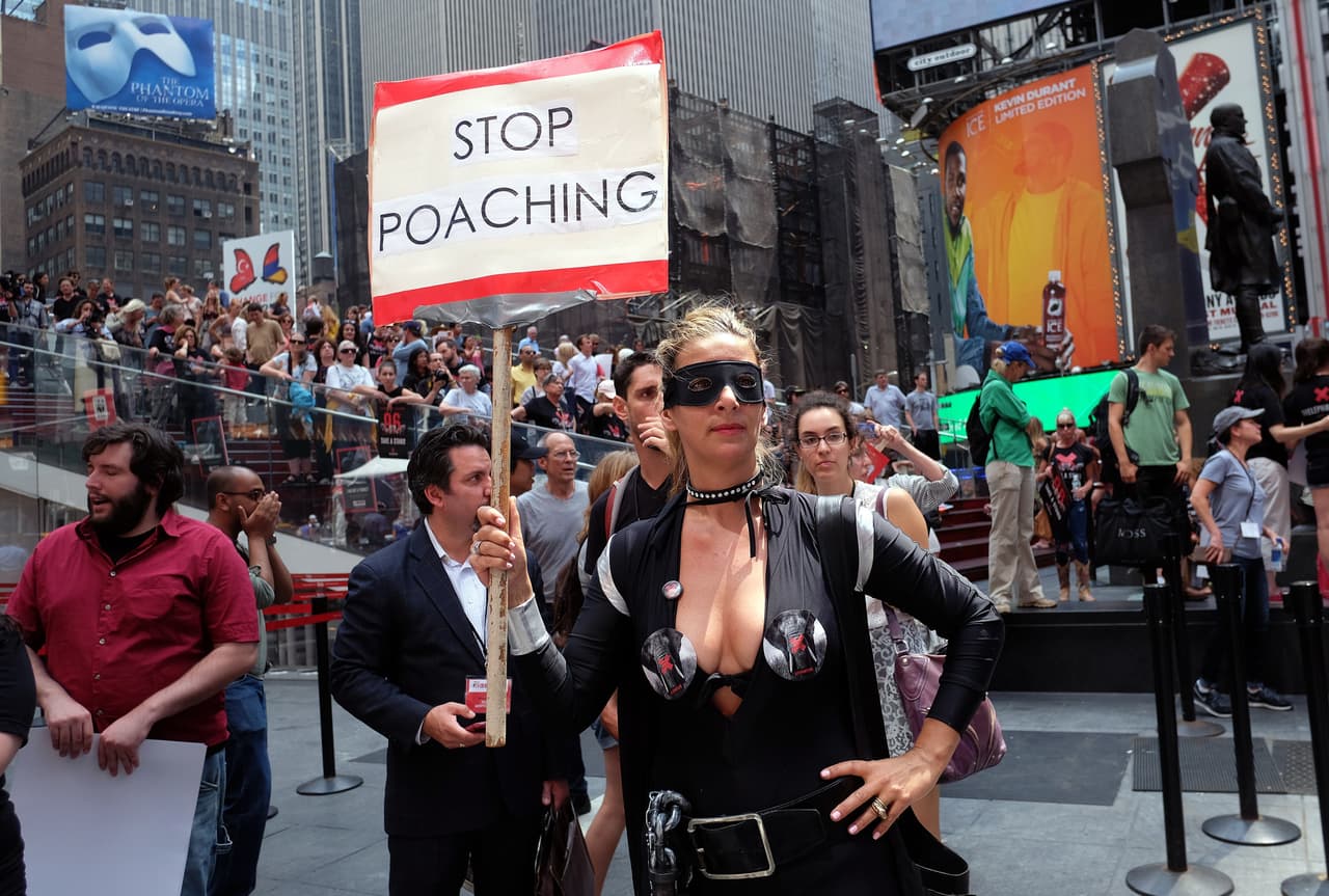 El cartel reza: "Paren la caza de elefantes".