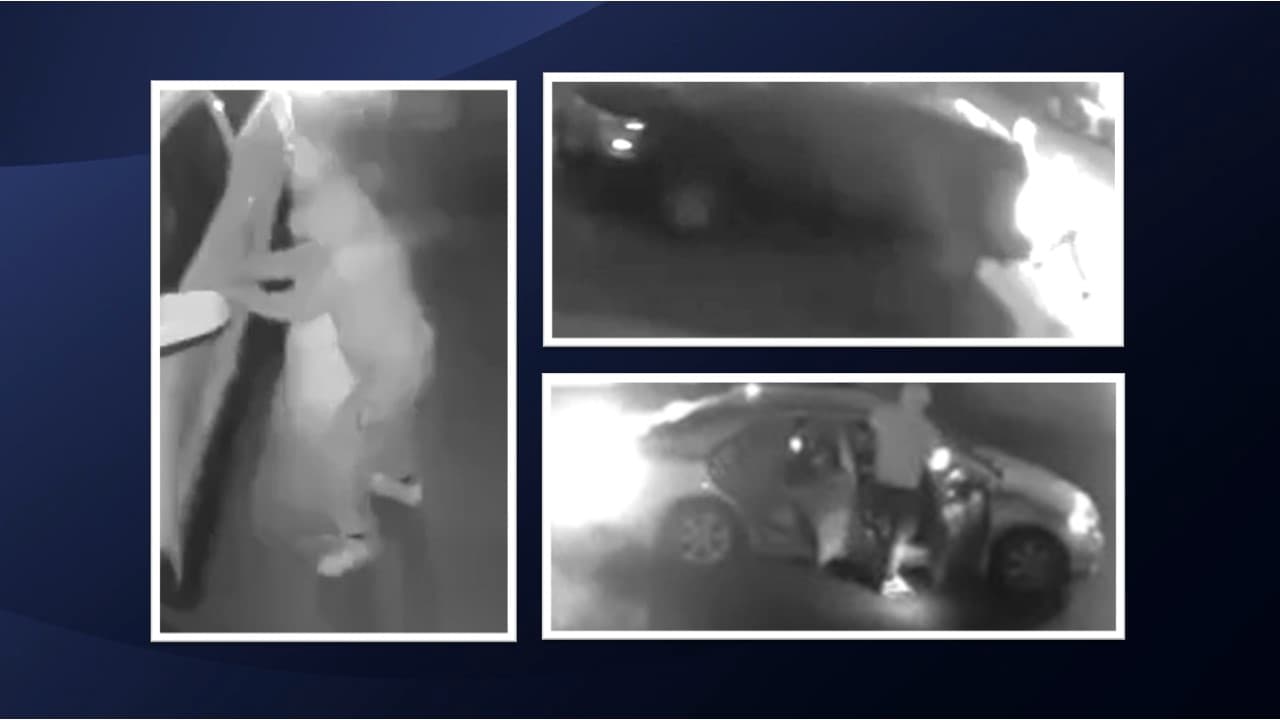 Buscan sospechosos de cometer varios robos a vehículos en condado Hays