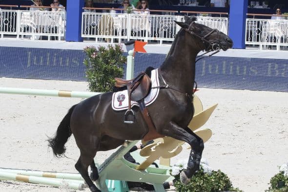 Este caballito vaya que se portó mal.