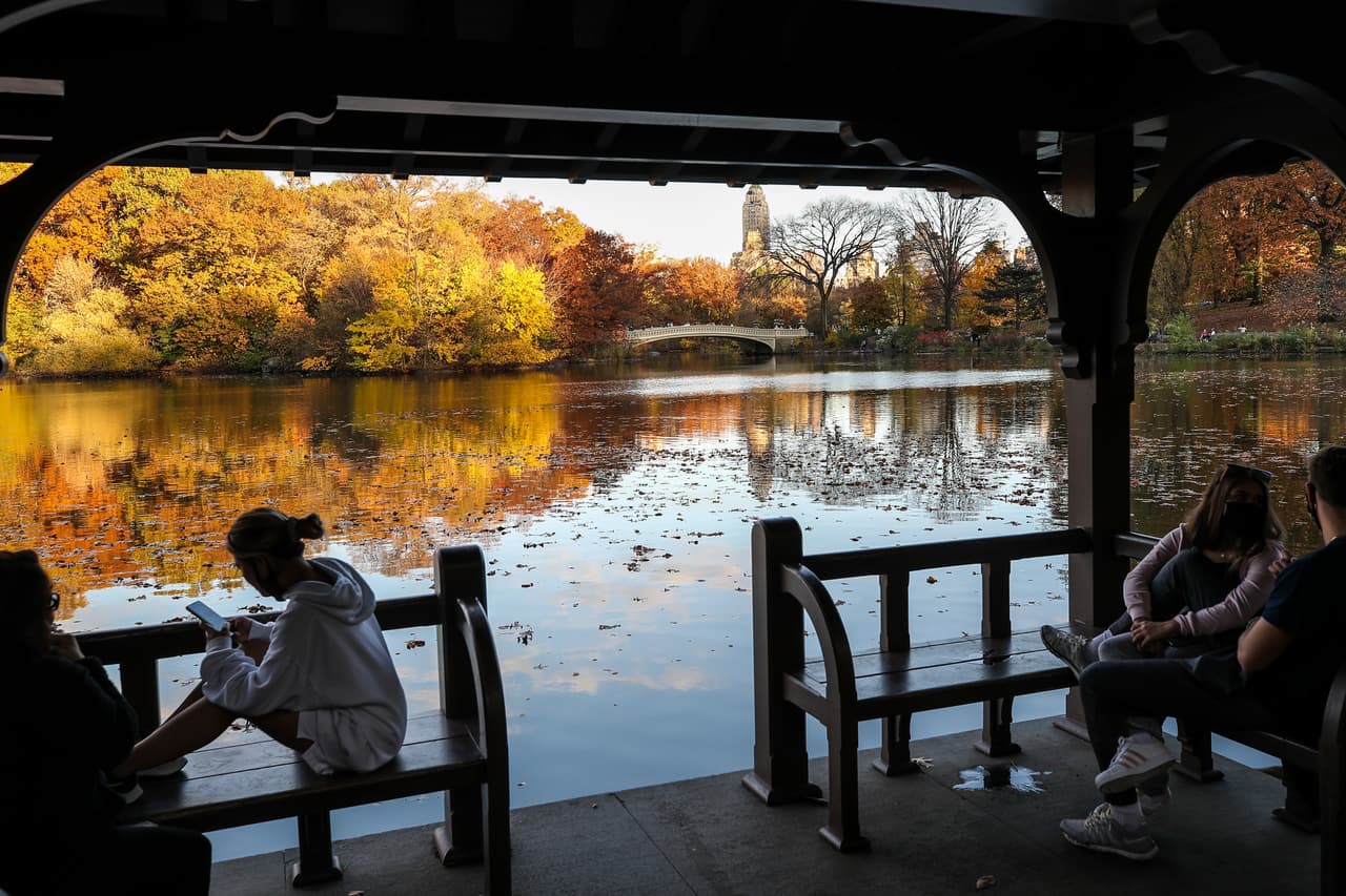 Este fenómeno tiene un efecto único en los árboles de Central Park, ya que a menudo son oscurecidos por las sombras proyectadas de los edificios circundantes.