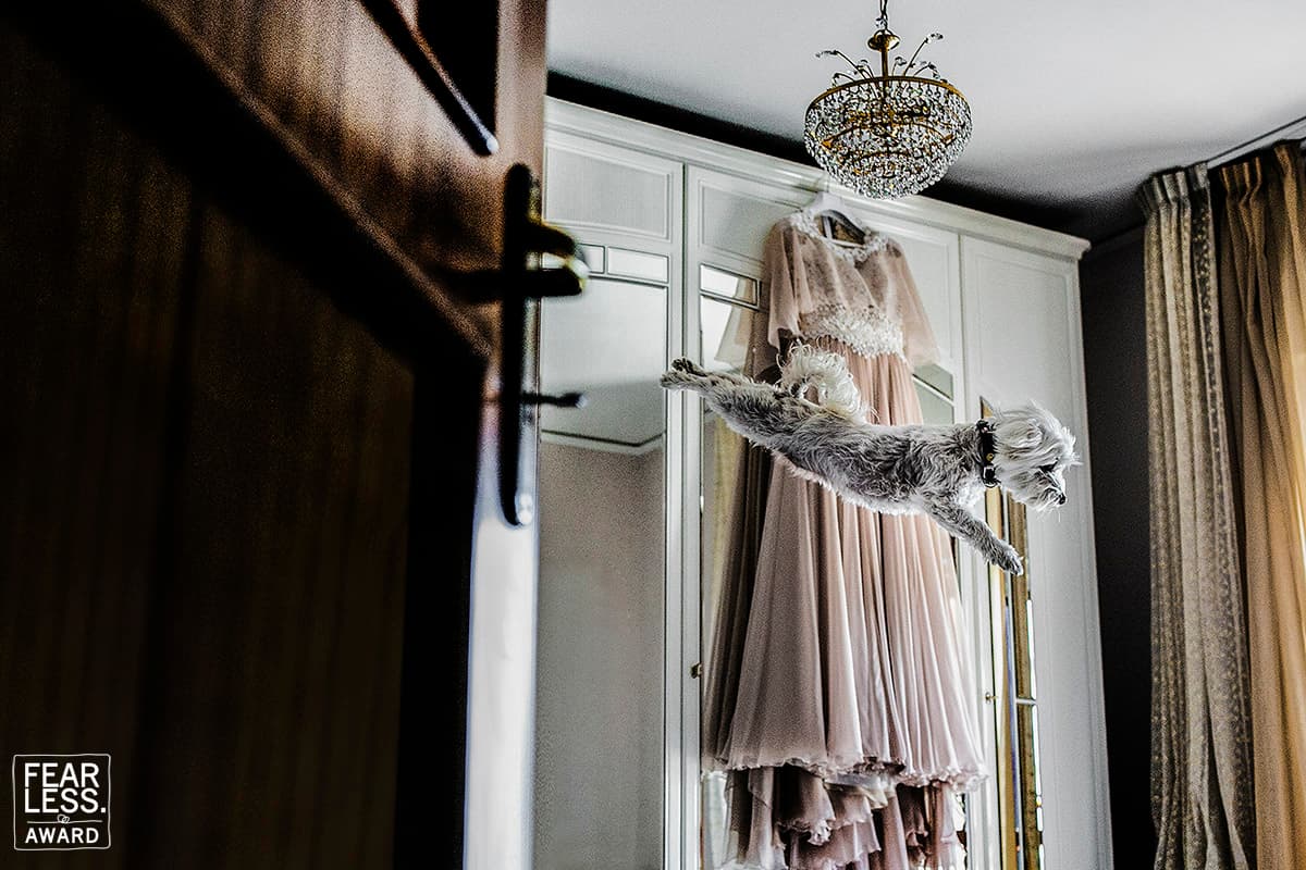 Crédito: 
<a href="http://www.giuseppegenovesefotografo.it/" target="_blank">GIUSEPPE GENOVESE</a> - Salerno, Italia