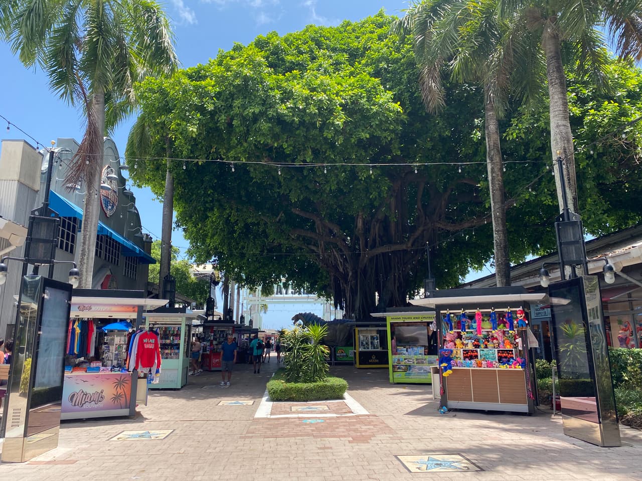 A unos 15 minutos del David. T Kennedy Park, está la entrada de Bayside Maketplace, un paseo comercial al aire libre con tiendas, restaurantes y atracciones.