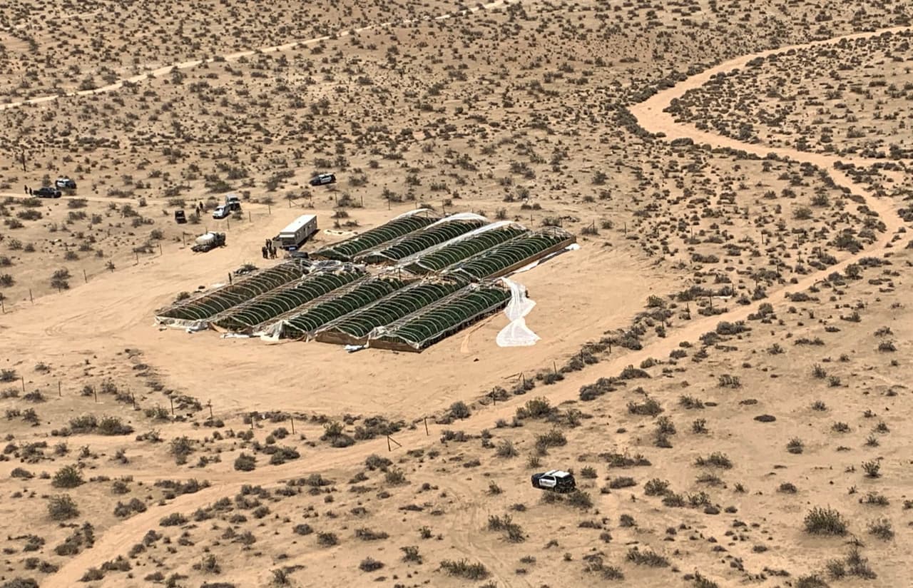 En el Valle del Antílope, el saqueo masivo ha metido en un predicamento a cientos de habitantes y varias granjas dedicadas al cultivo de papa, alfalfa y zanahorias.
