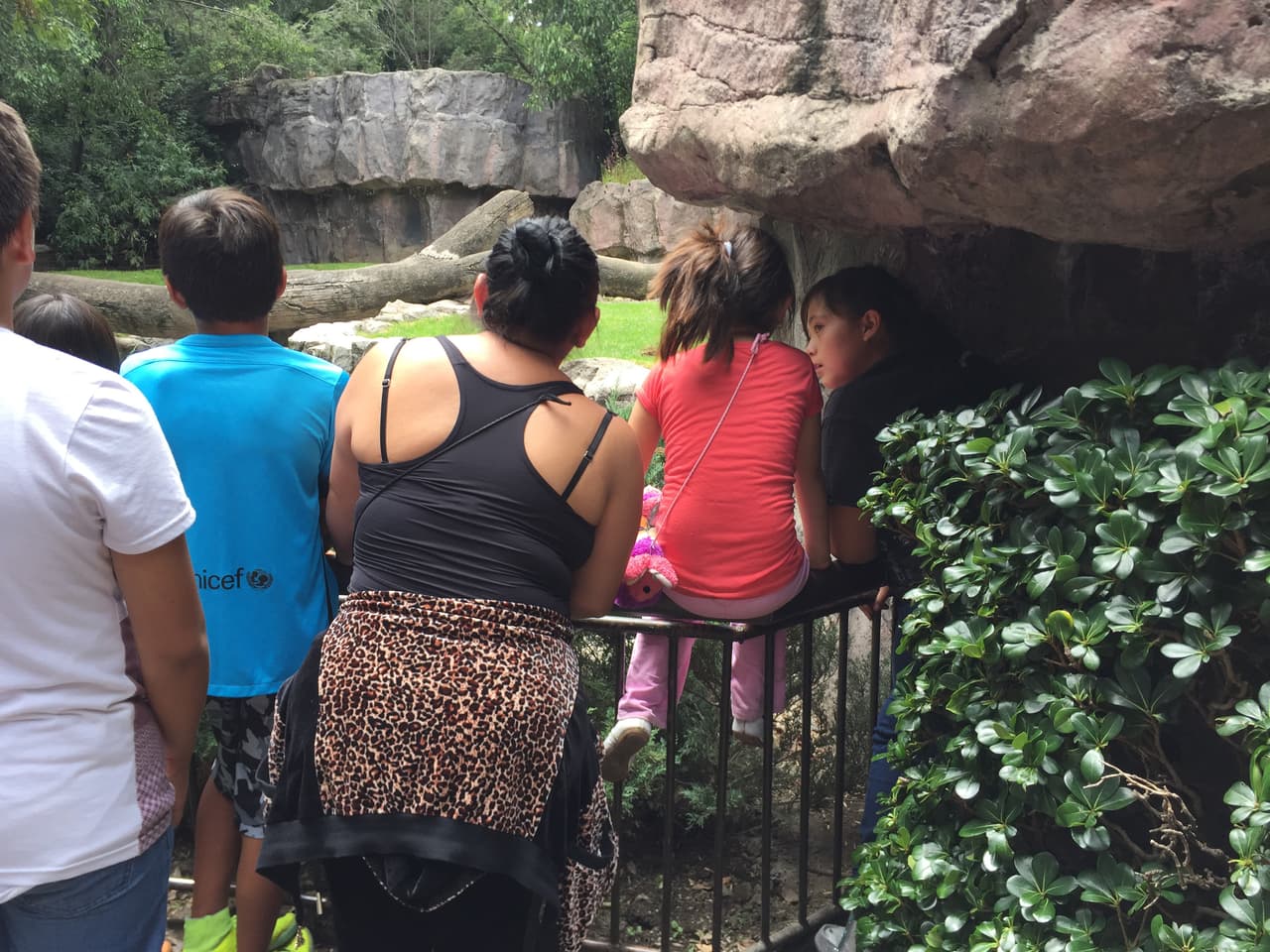 Los padres de familia sientan a sus hijos sobre las rejas de los animales.