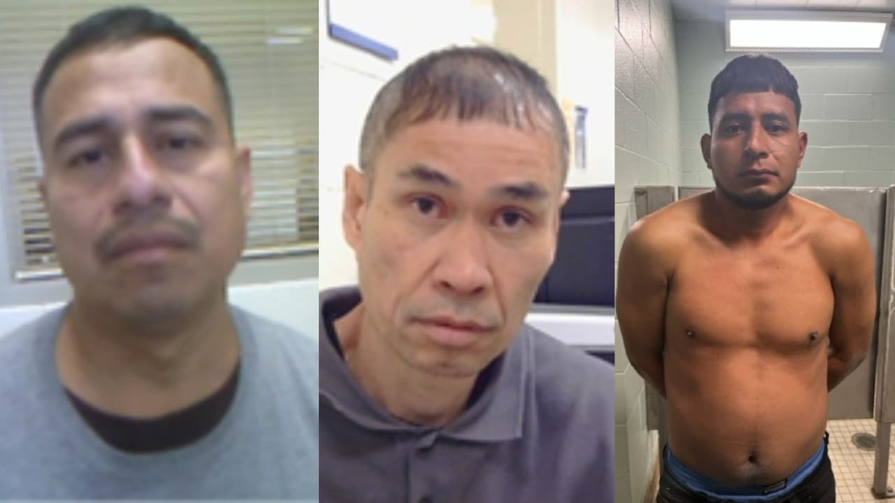 ICE reporta gran operativo migratorio en Texas con más de 1,500 arrestados; todo queda en video