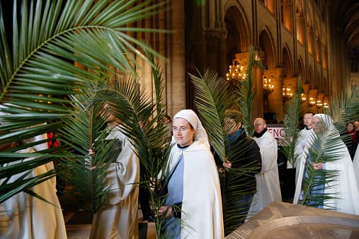 Mensajes de Amós: Domingo de Ramos