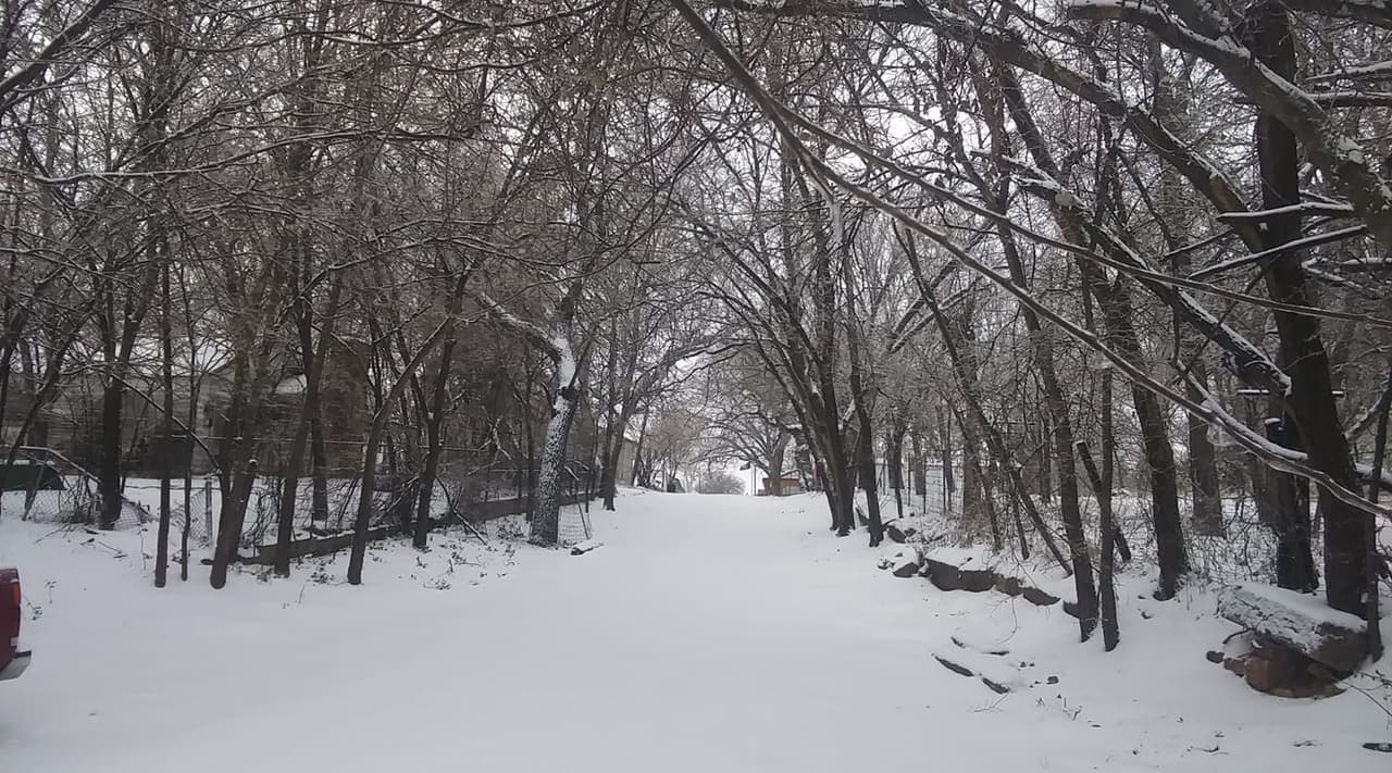 El norte de Texas se visitó de blanco tras la llegada de la tormenta invernal a nuestra área.
<br>