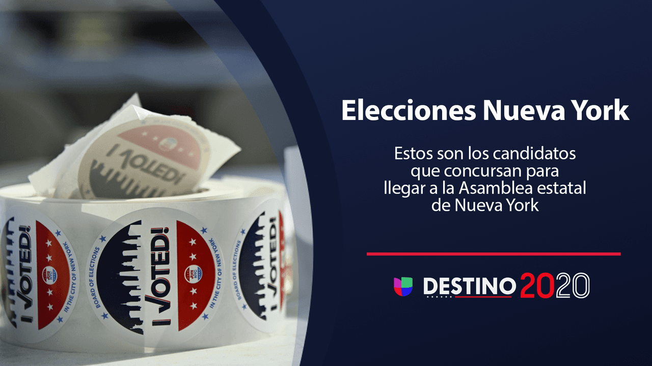 Ellos son los candidatos que se postulan a la Asamblea de Nueva York