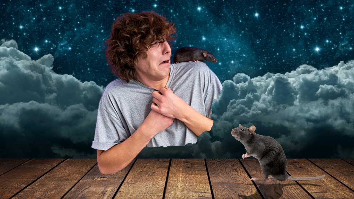 Soñar con ratas ¿buen o mal augurio?
