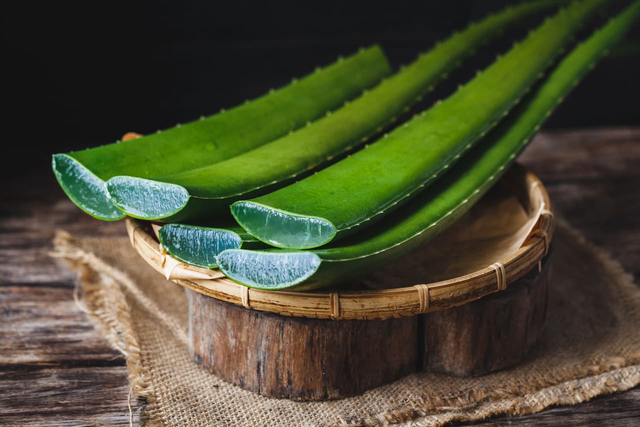 <b>Aloe vera.</b> Además de la cebolla, también puedes mezclar el gel del aloe vera, con tu shampoo de todos los días. El aloe vera no solo elimina la caspa, sino que también aporta nutrientes a nuestro cabello para contrarrestar su caída.