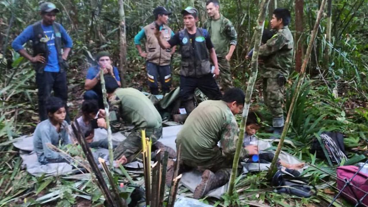 Qué ha pasado con los niños rescatados en Colombia: su padre y abuelos ahora pelean su custodia