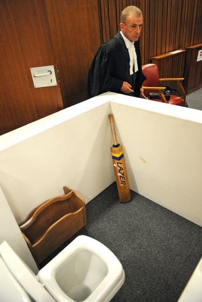 Pero Pistorius contestó que Steenkamp y él tenían muchas cosas en común y tenían "planes futuros" juntos.