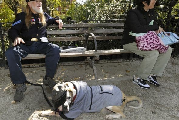 La originalidad fue lo que dominó en el peculiar desfile, que sirvió de inspiración algunos amantes de los perros y para aquellos a punto de adquiri o hacer su disfraz de Halloween.