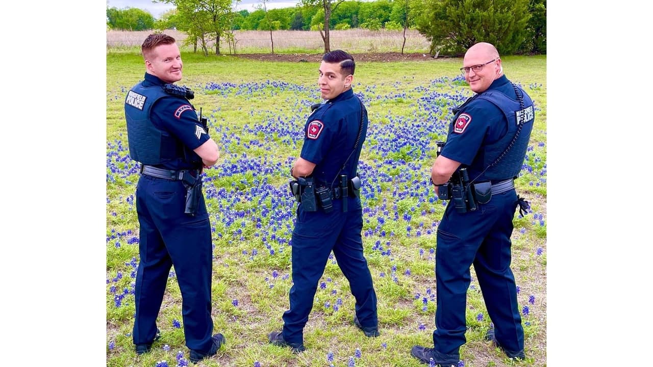 En su cuenta de Facebook, el Departamento de Policía de Mansfiel publicó estas fotografías con las etiquetas de #TiemposDivertidos y #Bluebonnets. Las fotografías tomaron por sorpresa a los ciudadanos, que agradecieron que las compartieran: "Buenas fotos, es maravilloso ver el otro lado de ustedes. Cuídense", escribió Nelda Choate.
