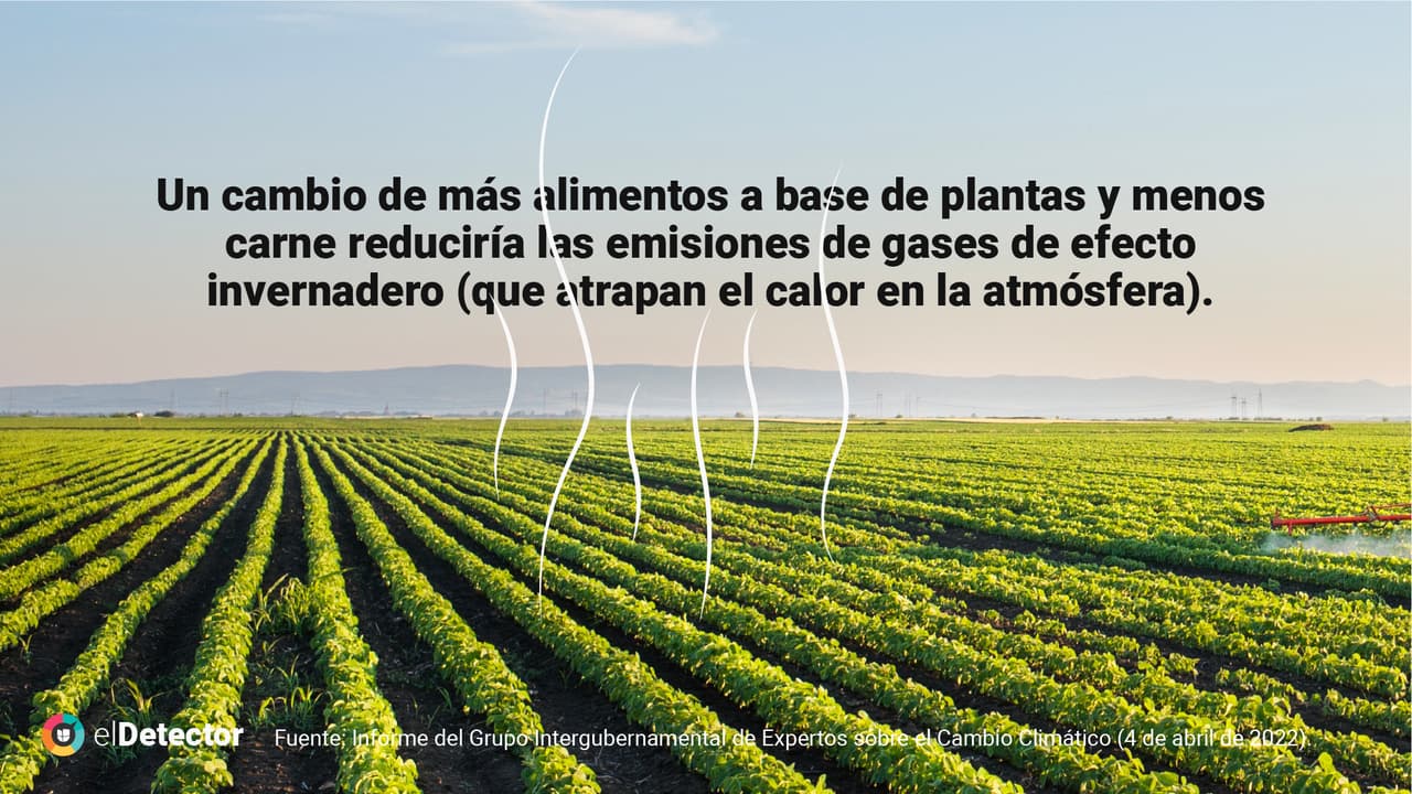 <a href="https://www.univision.com/noticias/verdad-reducir-consumo-de-carne-ayuda-planeta">Lee aquí la verificación completa de elDetector</a>.