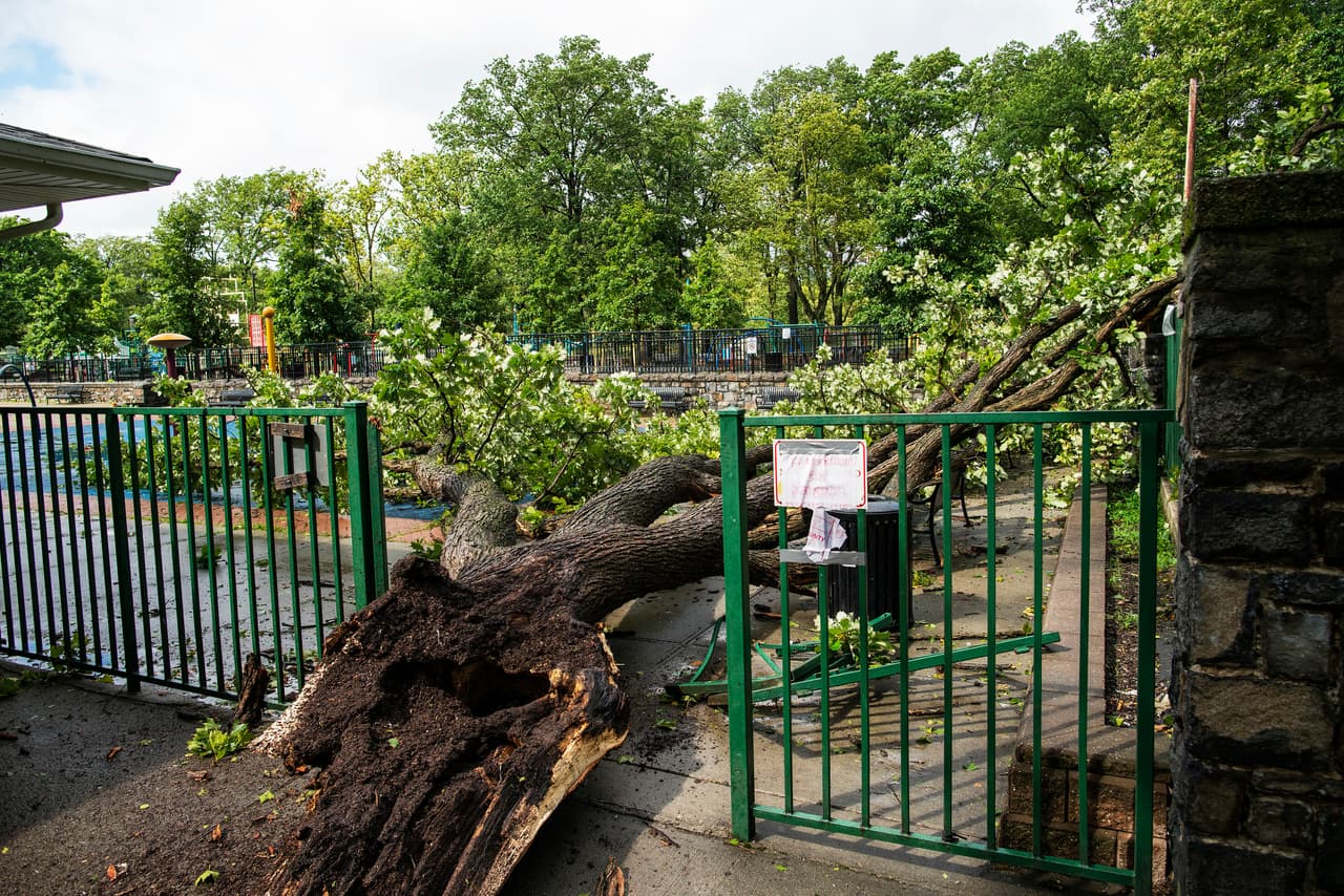 Más de 1 millón de personas sin electricidad en Nueva Jersey tras destrozos de tormenta Isaías