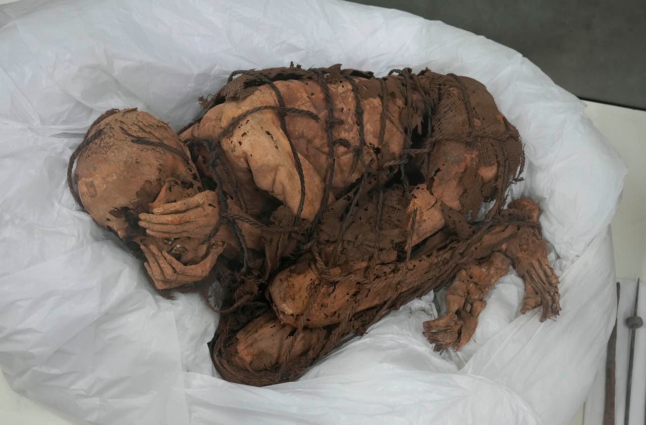 La arqueóloga peruana Yomira Huamán, una de las responsables de la excavación, confirmó a la agencia AP que los recientes hallazgos están asociados al cercano sepulcro de otra momia, un hombre de clase alta que se cubría el rostro con las manos (en la fotografía). 
<br>
<br>Esta momia fue descubierta a finales de 2021 y se calcula que murió aproximadamente entre los años 800 y 1,000 después de Cristo.