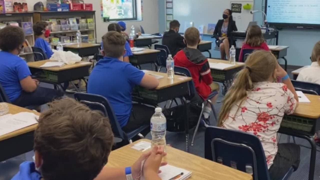 Escuelas de Hillsborough reciben fondos récord para servicios de salud mental