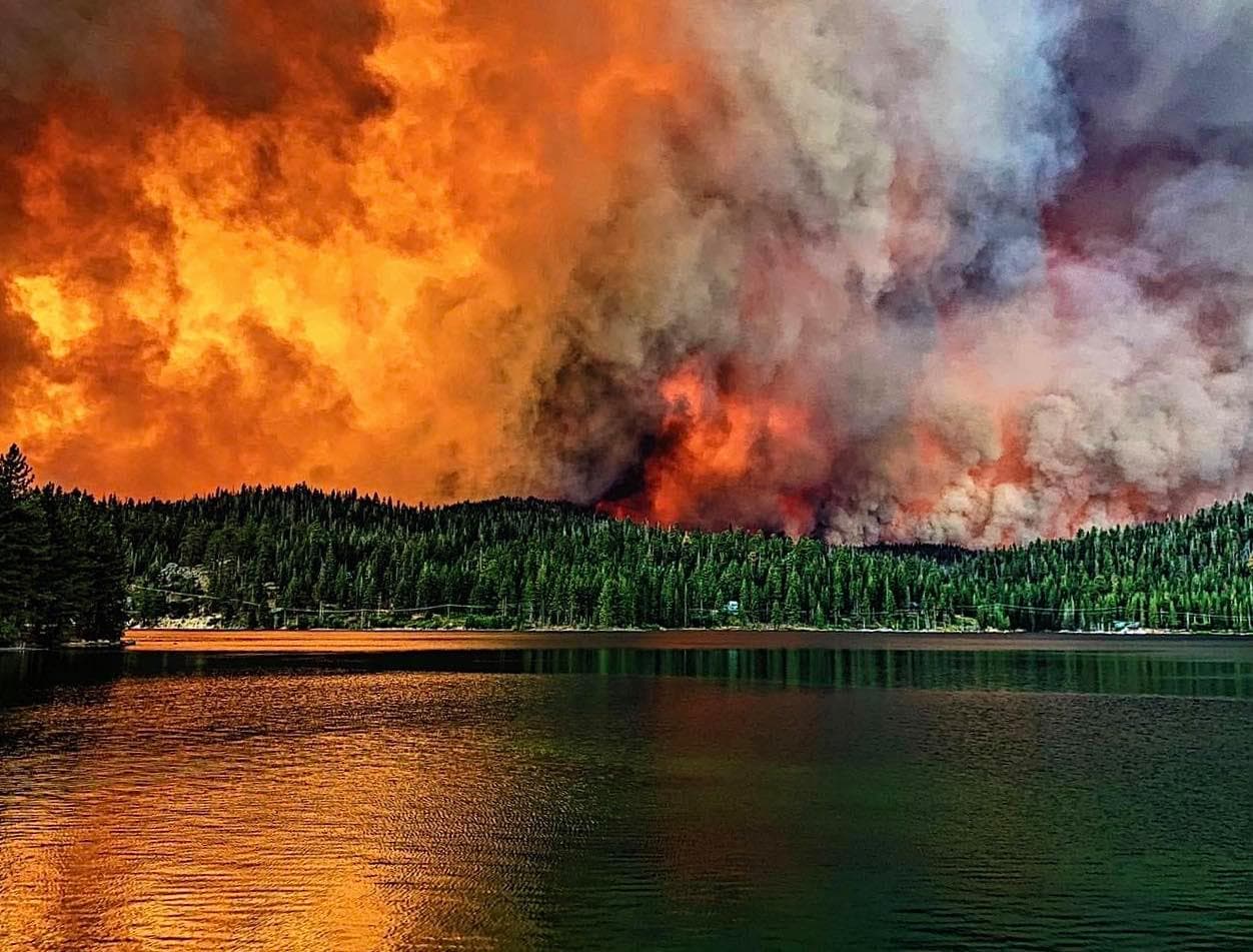 A la fecha el incendio Creek, que estalló violentamente hace 45 días, ha podido ser controlado en un 60%, y a la fecha ha consumido 344 mil acres de vegetación. *56 edificaciones completamente destruidas y otras 70 presentan algún tipo de daño. CAL FIRE reporta 25 bomberos lesionados, todas menores.