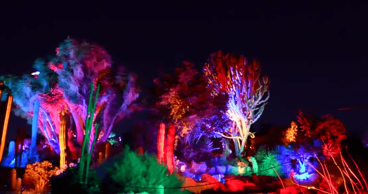 South Coast Botanic Garden presenta GLOW, una exhibición de arte visual que transforma el exuberante oasis botánico en una experiencia oceánica con miles de luces. La caminata nocturna da la bienvenida a toda la familia para una experiencia única. Las estrictas medidas de prevención de contagios del coronavirus deben ser respetadas durante el paseo.