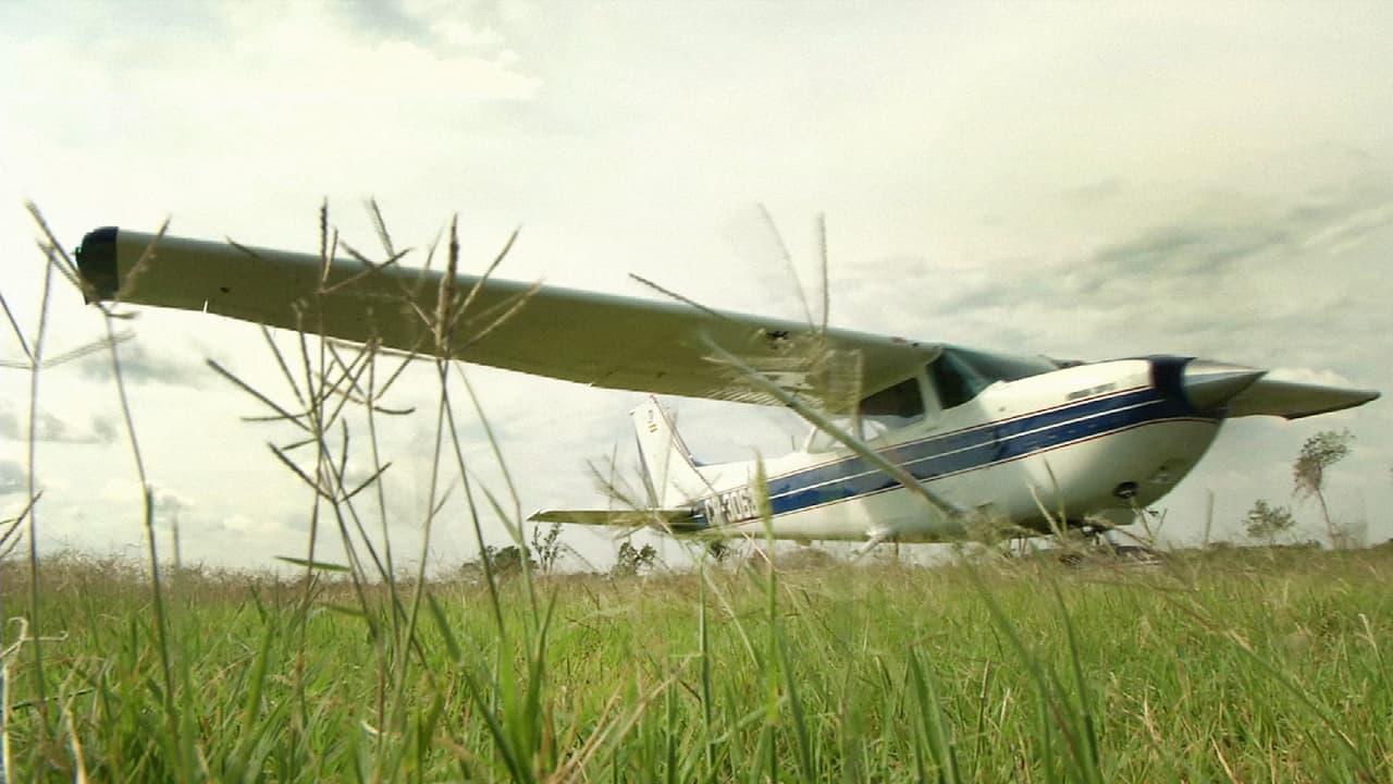 Las avionetas marca Cessna son las más utilizadas para el narcotráfico.