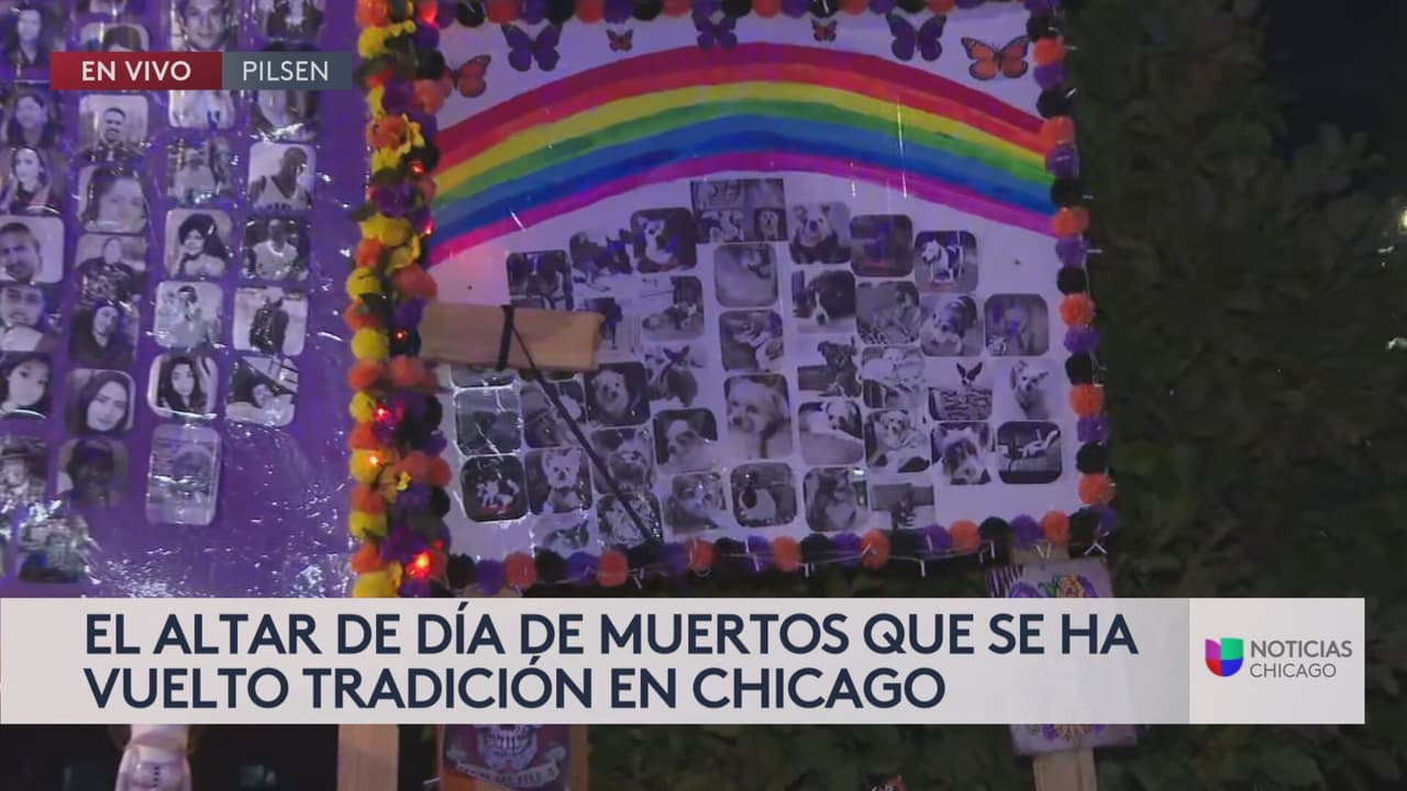 Pero no solo eso, las
<b>mascotas también tienen un espacio en el altar.</b>