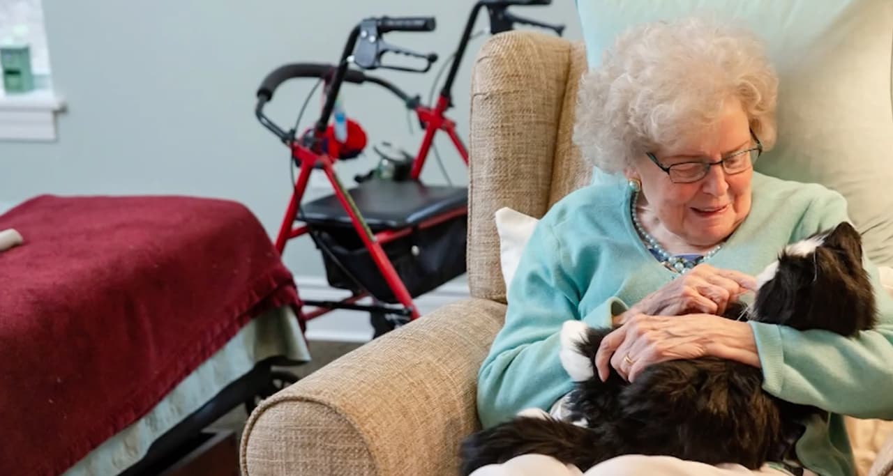 Asimismo, en esta fase 2, entran las 
<b>personas mayores de 65 años, </b>el personal de las escuelas y universidades, como también algunos trabajadores de tiendas minoristas y supermercados serán vacunados.
<br>