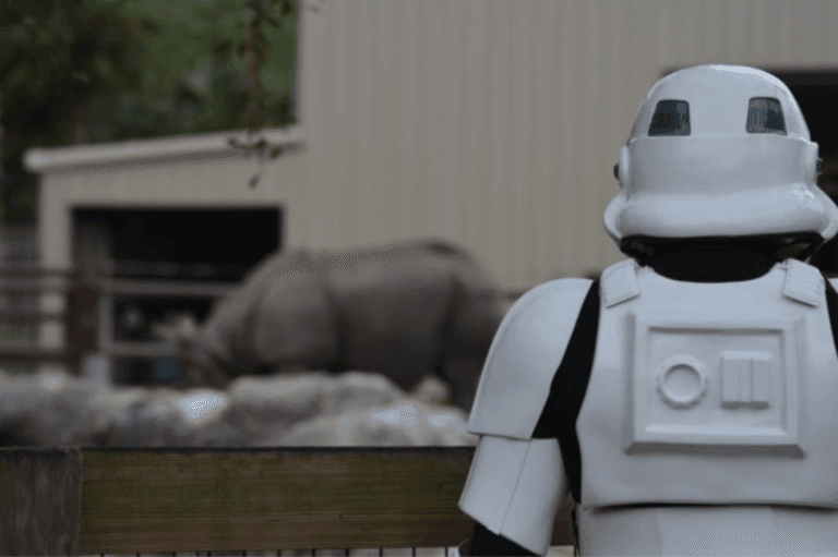 <b><a href="https://www.centralfloridazoo.org/zoo-boo-bash-2023/" target="_blank">Zoo Boo Bash:</a></b> Zoo Boo Bash es la forma perfecta para que los niños y las familias puedan lucir sus disfraces de Halloween y pedir caramelos mientras disfrutan de la diversión del zoológico. Todas las actividades están incluidas en la entrada al zoológico. Fechas: en días seleccionados desde el 14 de octubre al 29 de octubre. 
<b>Precios:</b> Adulto $23.95 (13 - 54). Niño $17.95 (3 - 12). Niño gratis (2 años o menos). Personas Mayores $19.95 (55+).