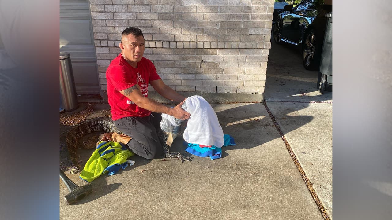 A su regreso decidió enfrentar al animal, le puso la rodilla en el lomo, se le sentó encima y le amarró el hocico, luego las patas y ya que lo tenía totalmente controlado, llamó a las autoridades para pedir ayuda.