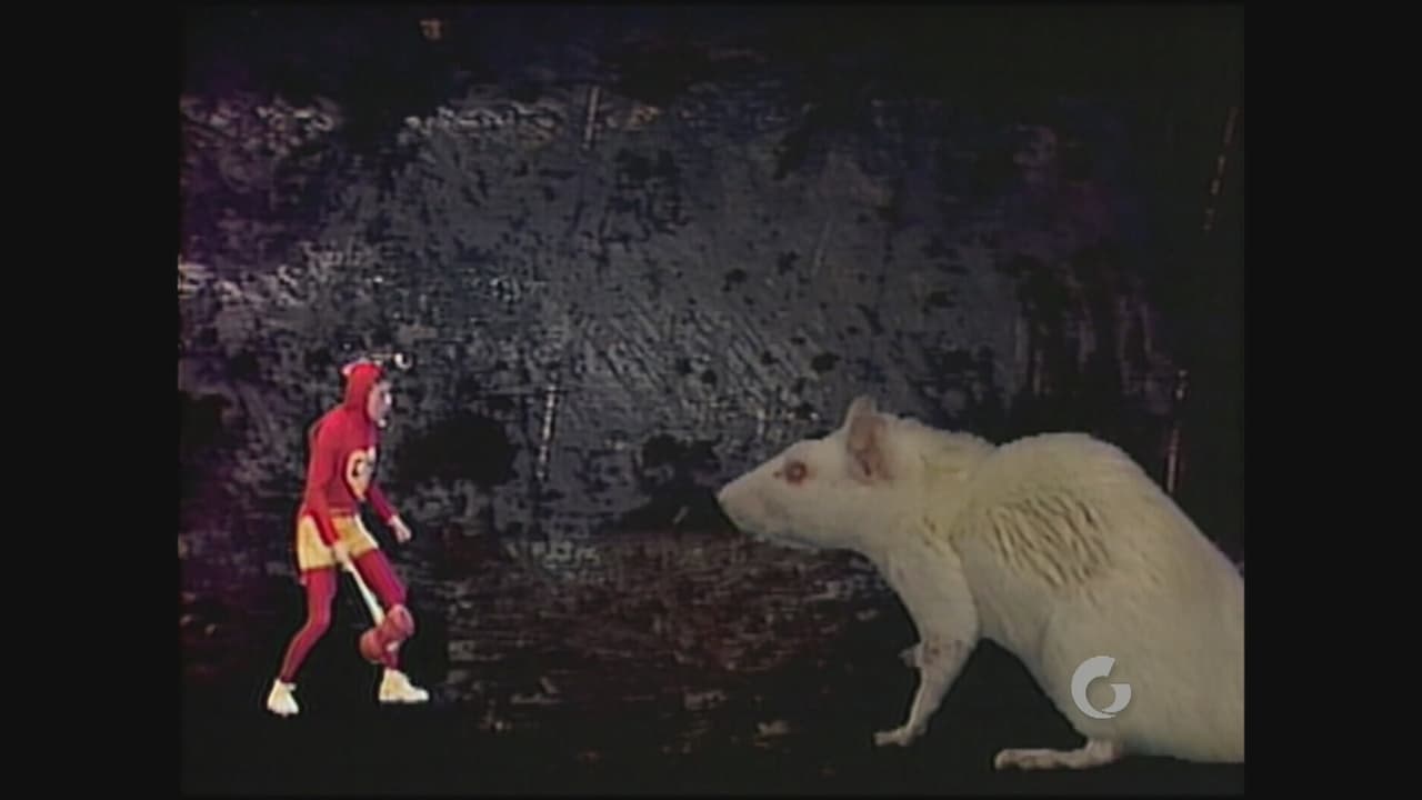 Puede que se atraviese alguna situación que te ponga los pelos de punta pero recuerda esta frase: "Calma, calma, que no panda el cúnico".