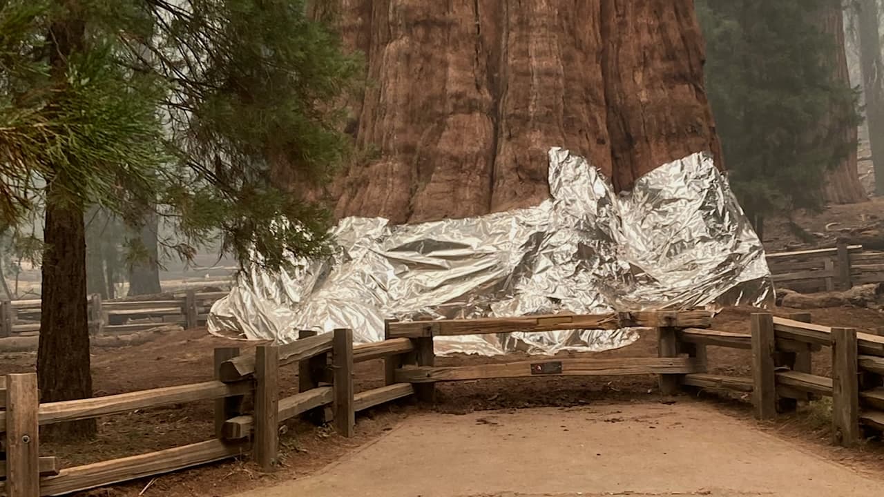 El Incendio Colony es uno de los dos incendios que han quemado alrededor de 18 millas cuadradas de tierras en California. Más información aquí.