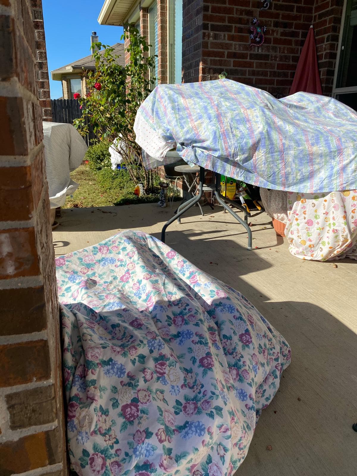 La temperatura este martes por la mañana llegó a los 29 grados y se espera que este miércoles baje nuevamente al punto de congelación.
<br>