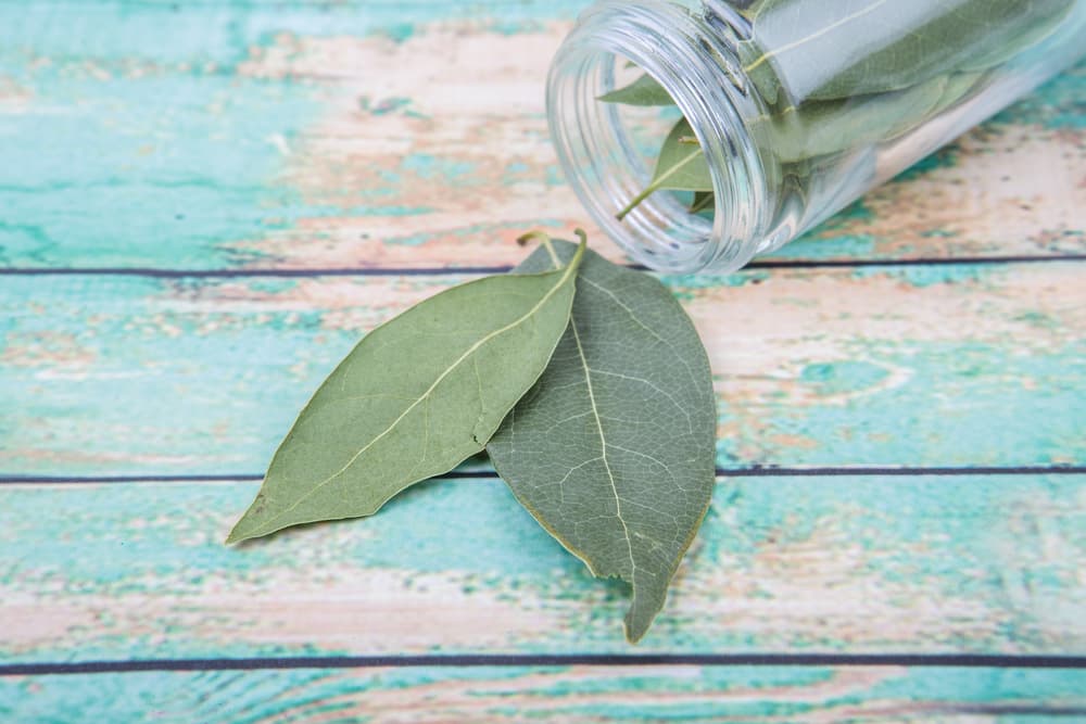 Además es beneficioso para el corazón porque reduce las posibilidades de enfermedades cardíacas coronarias. Es rico en ácidos grasos no saturados y también se cree que ayuda a combatir el estrés, la ansiedad y la presión arterial.