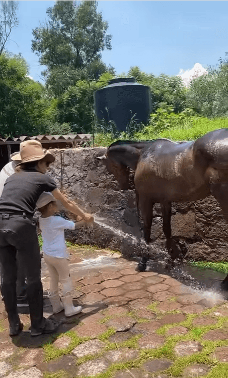 En su campamento de verano, la hija de Marlene Favela tuvo la oportunidad de ‘bañar’, tocar de cerca la crin y hasta montar algunos de estos animales.