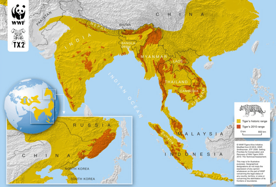 En naranja la distribución de las poblaciones de tigres en estado silvestre según WWF, en amarillo, como era en 1916.