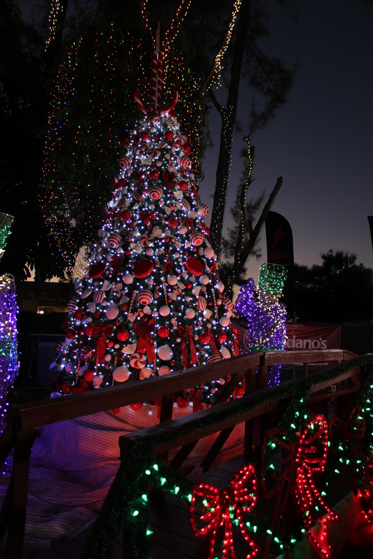 Grandes y chicos disfrutan durante la época navideña de la decoración y luces decorativas en el Santa's Enchanted Forest.