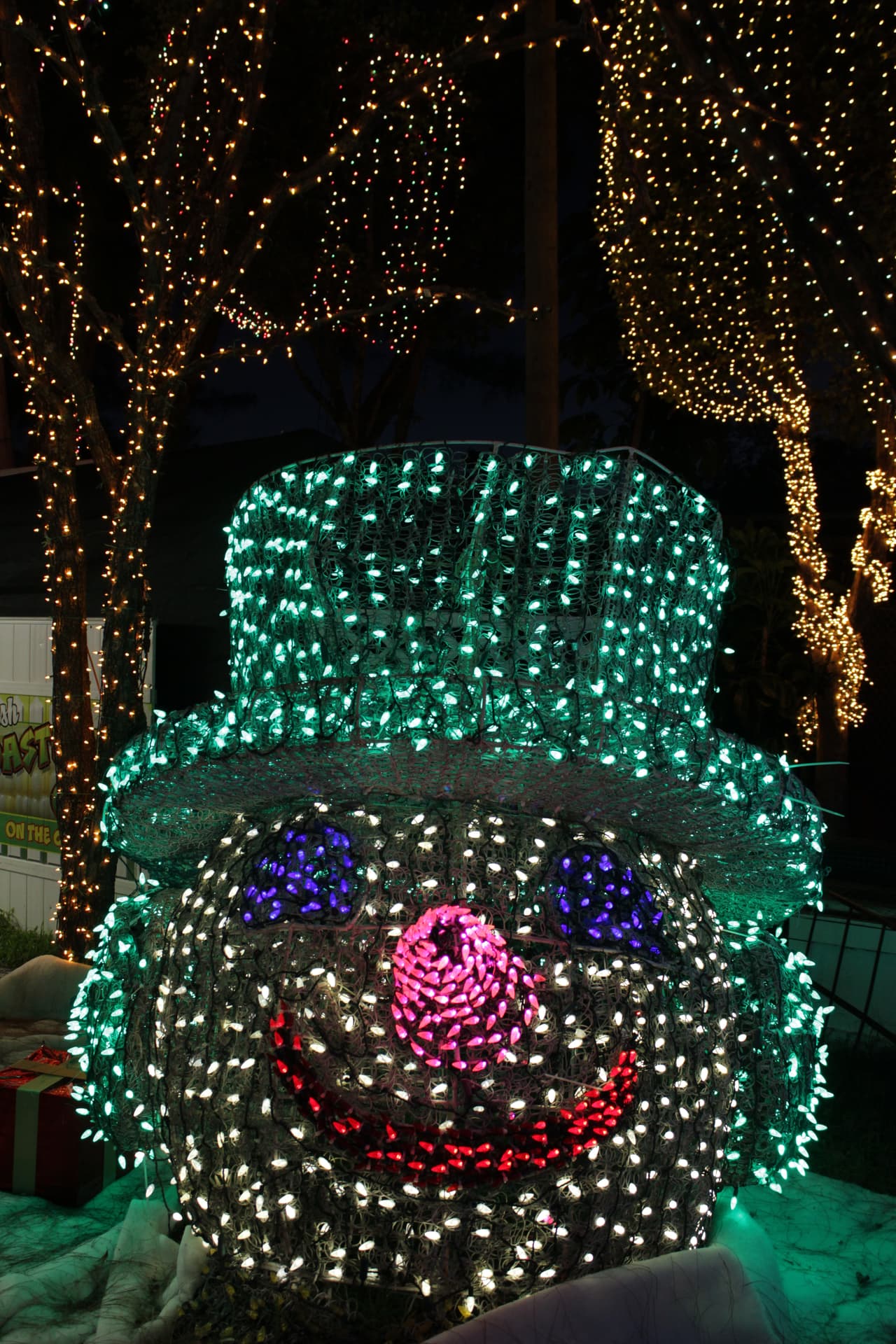 Grandes y chicos disfrutan durante la época navideña de la decoración y luces decorativas en el Santa's Enchanted Forest.