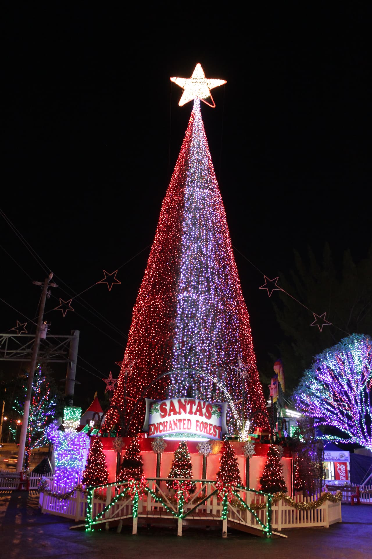 Grandes y chicos disfrutan durante la época navideña de la decoración y luces decorativas en el Santa's Enchanted Forest.