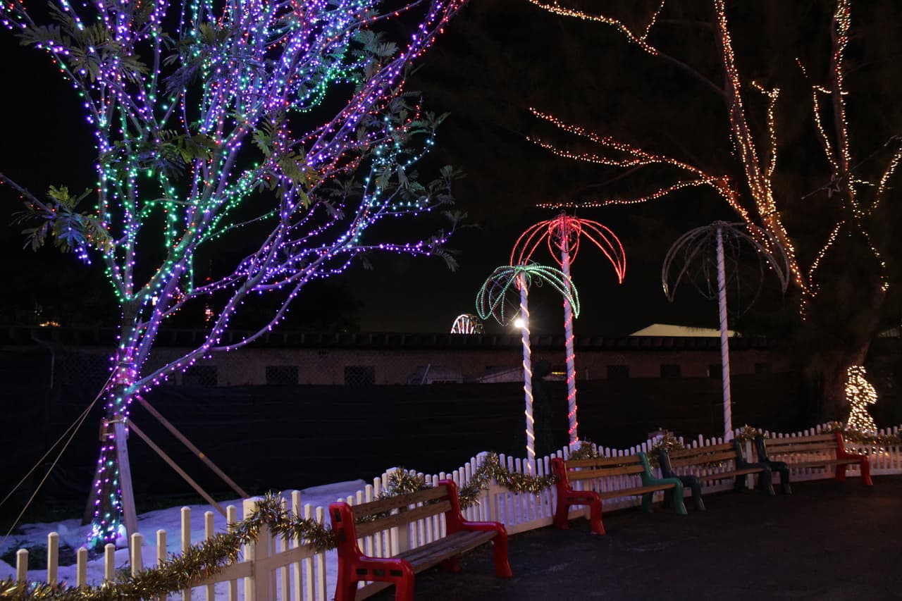 Grandes y chicos disfrutan durante la época navideña de la decoración y luces decorativas en el Santa's Enchanted Forest.