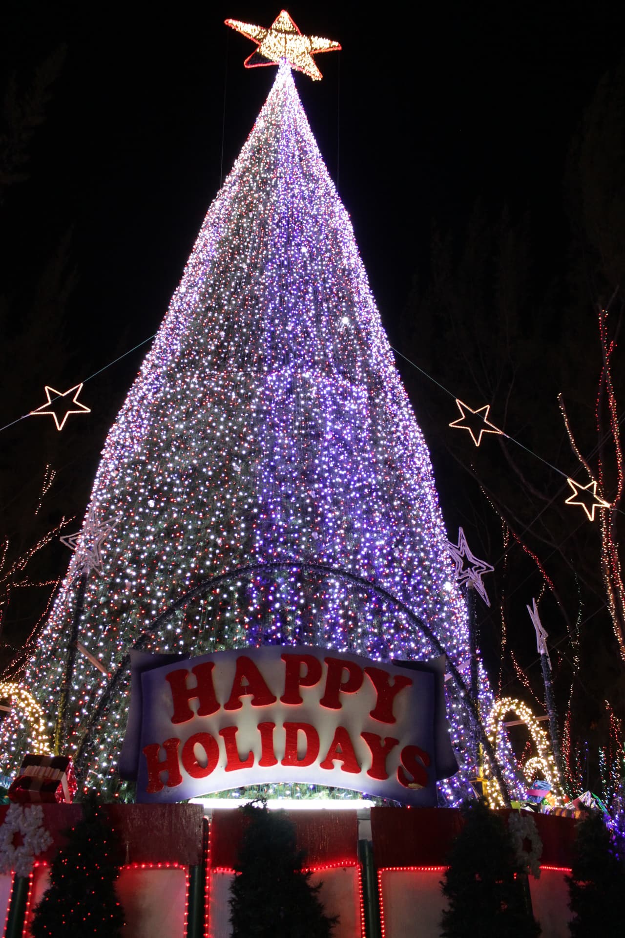 Grandes y chicos disfrutan durante la época navideña de la decoración y luces decorativas en el Santa's Enchanted Forest.