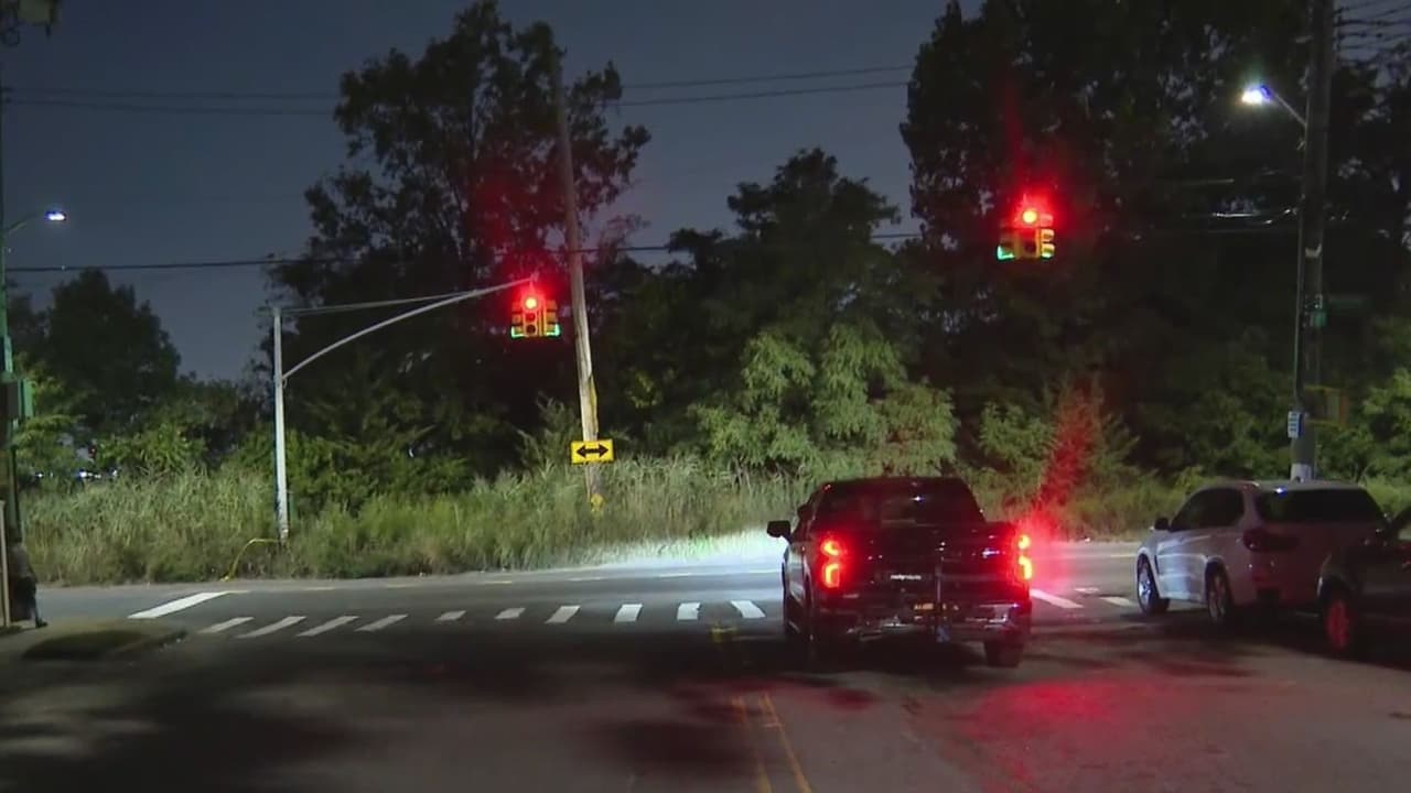 Trabajadores de limpieza encuentran restos humanos entre arbustos en Queens