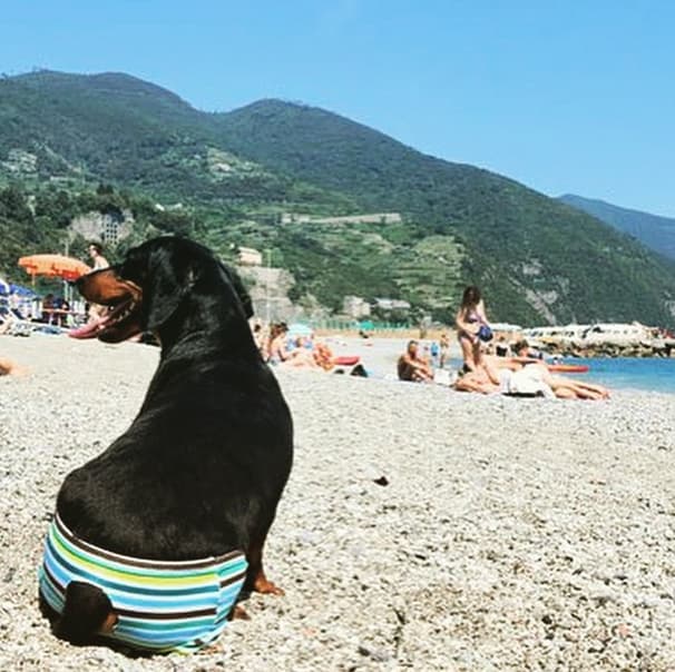 Ir a la playa es el mejor pretexto para presumir tu nuevo traje de baño.