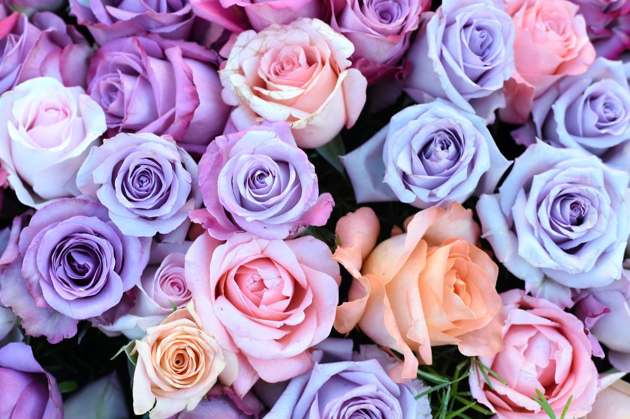 Miles de personas disfrutaron de este tradicional desfile lleno de música y color