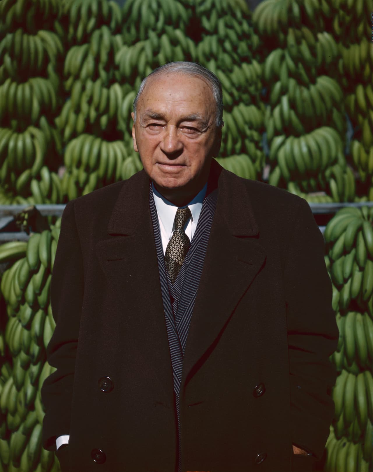 Portrait of Russian-born American business executive Sam 'The Banana Man' Zemurray (born Schmuel Zmurri, 1877 - 1961), head of the United Fruit Company, as he stands in front of stacks of bananas, New Orleans, Louisiana, 1951.
